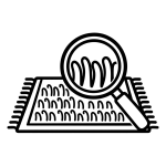 01-carpet-inspection